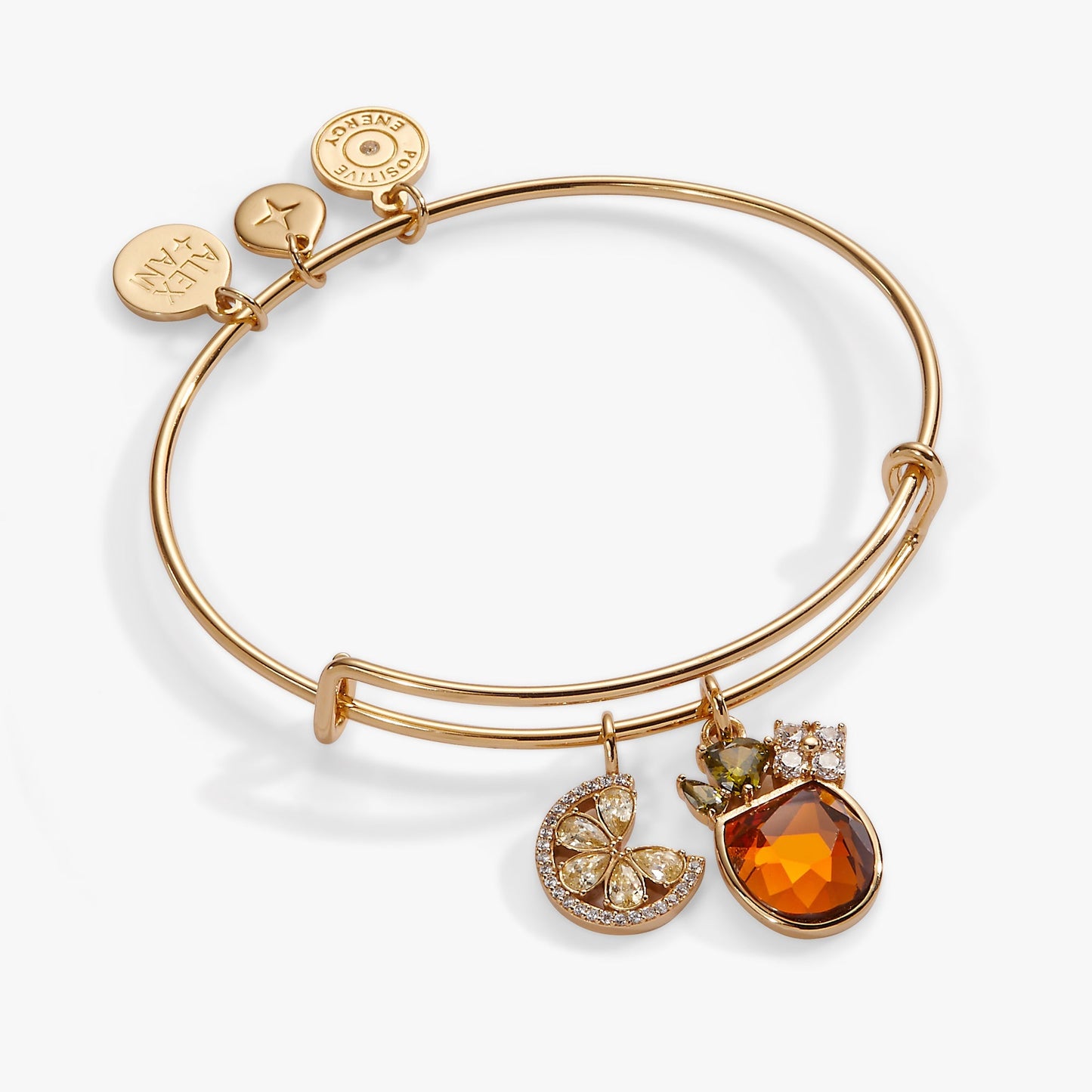 Alex and Ani Spritz Charm Bangle Bracelet | Gold - Girls Trip Goods