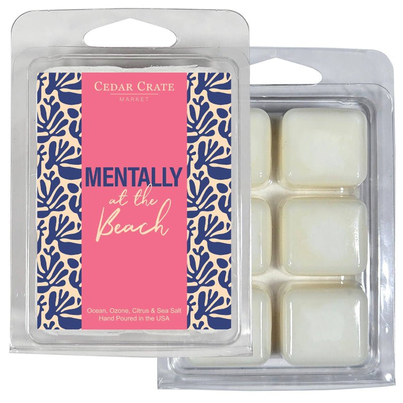 Mentally At The Beach Wax Melts | Ocean Citrus Salt Scent | 6-Pack Soy Wax Melts - Girls Trip Goods